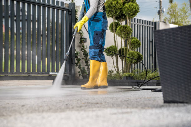 Best Rust Removal  in Harrogate, TN