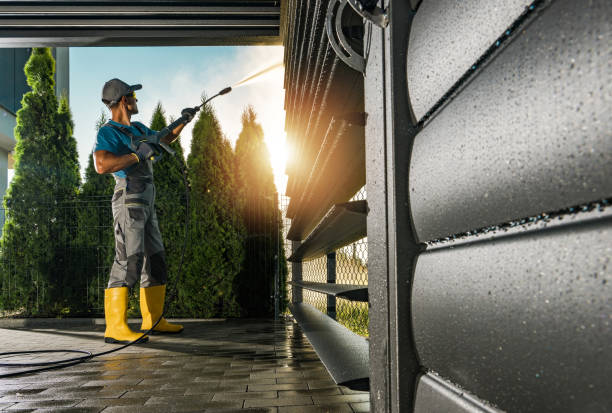 Best Driveway Pressure Washing  in Harrogate, TN